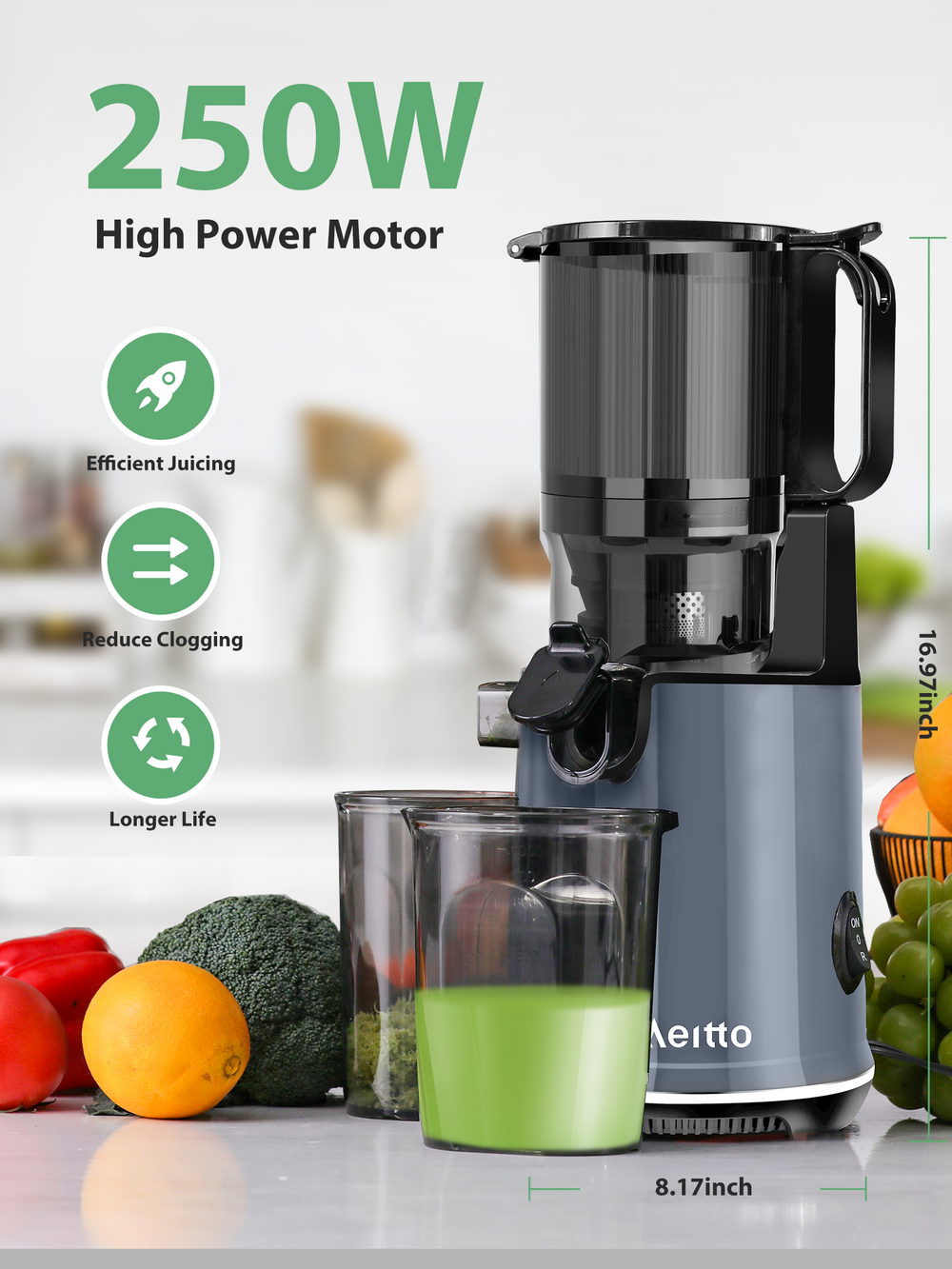 Aeitto BPA Free Slow Masticating Juicer