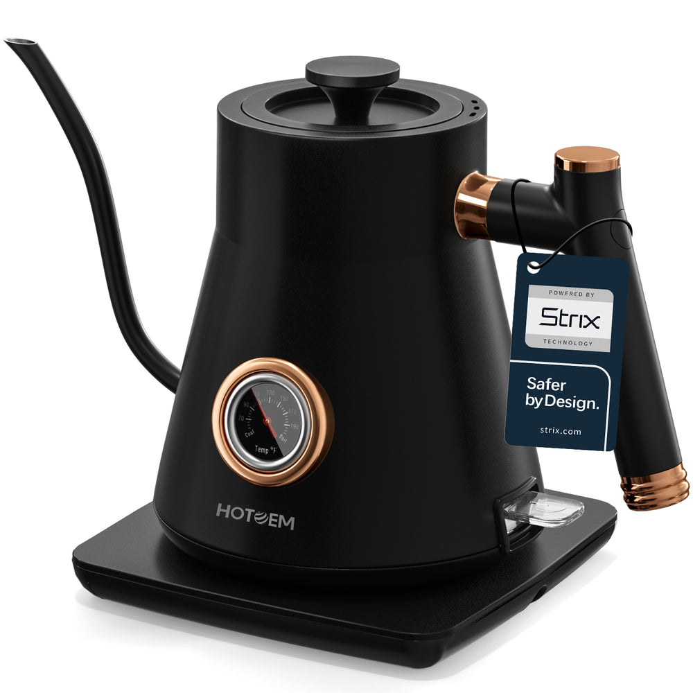 Electric gooseneck kettle with temperature control