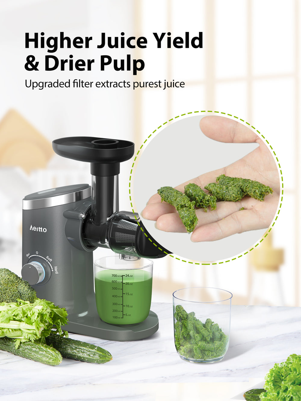 Aeitto Masticating Juicer with Two Speed Modes GREY