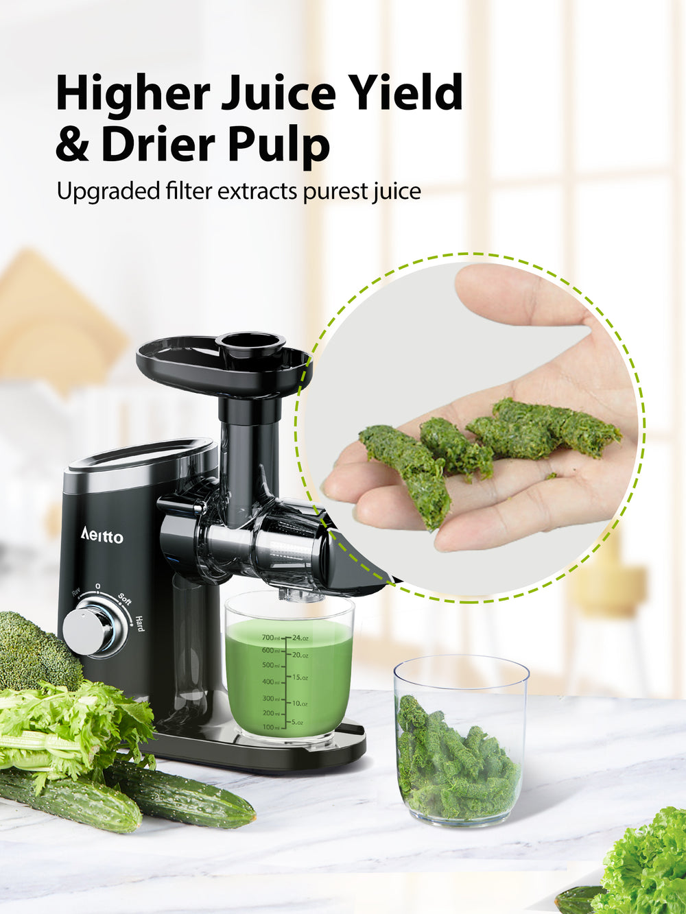 Wide 3 Inch Chute Masticating Juicer Sliver – Aeitto